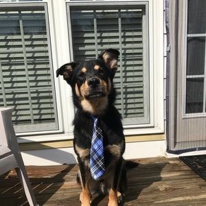 Meet your Posher, Jade